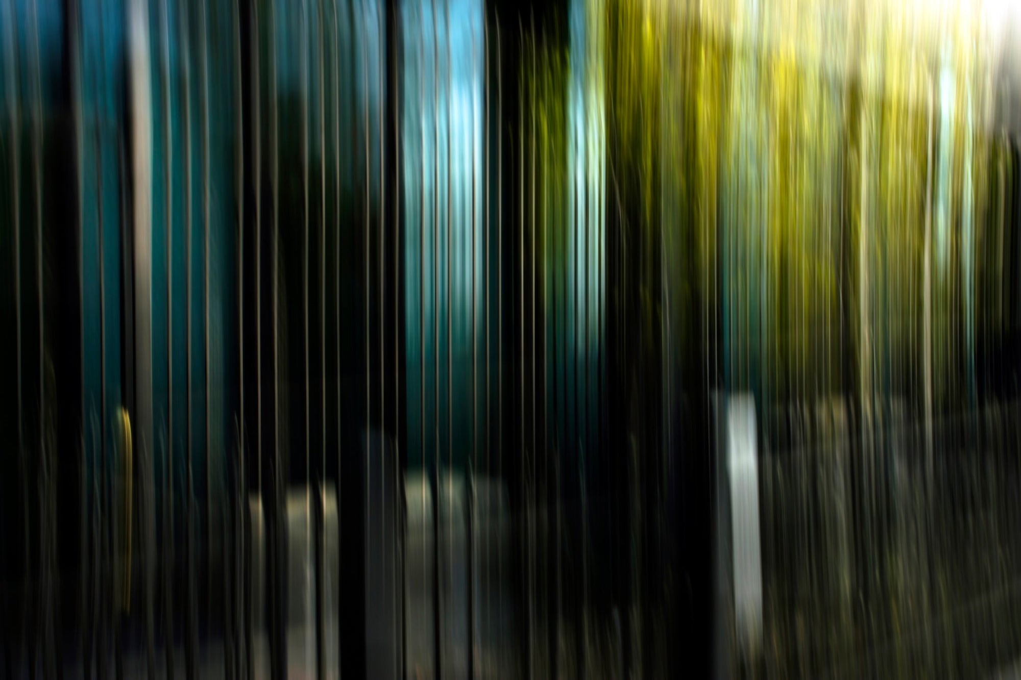 Static and Motion, 2008-04-22-8052