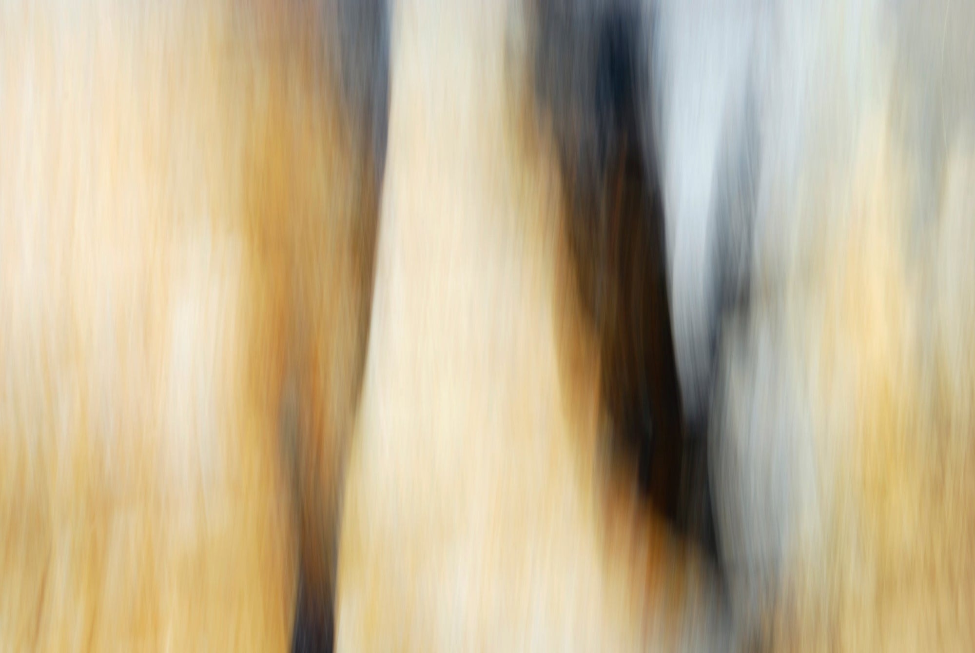 Static and Motion, 2009-10-18-0569