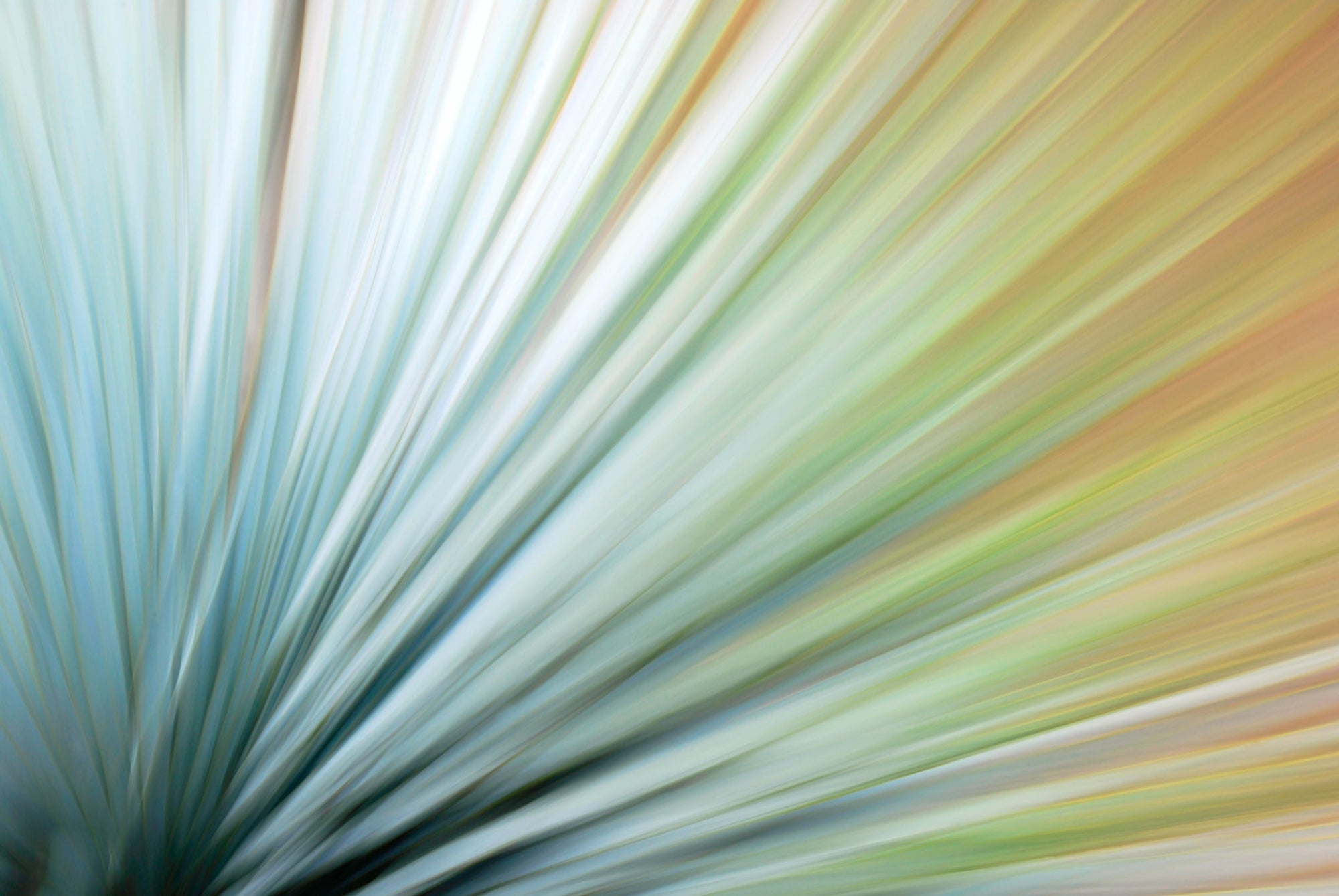 Static and Motion, 2010-02-06-0372