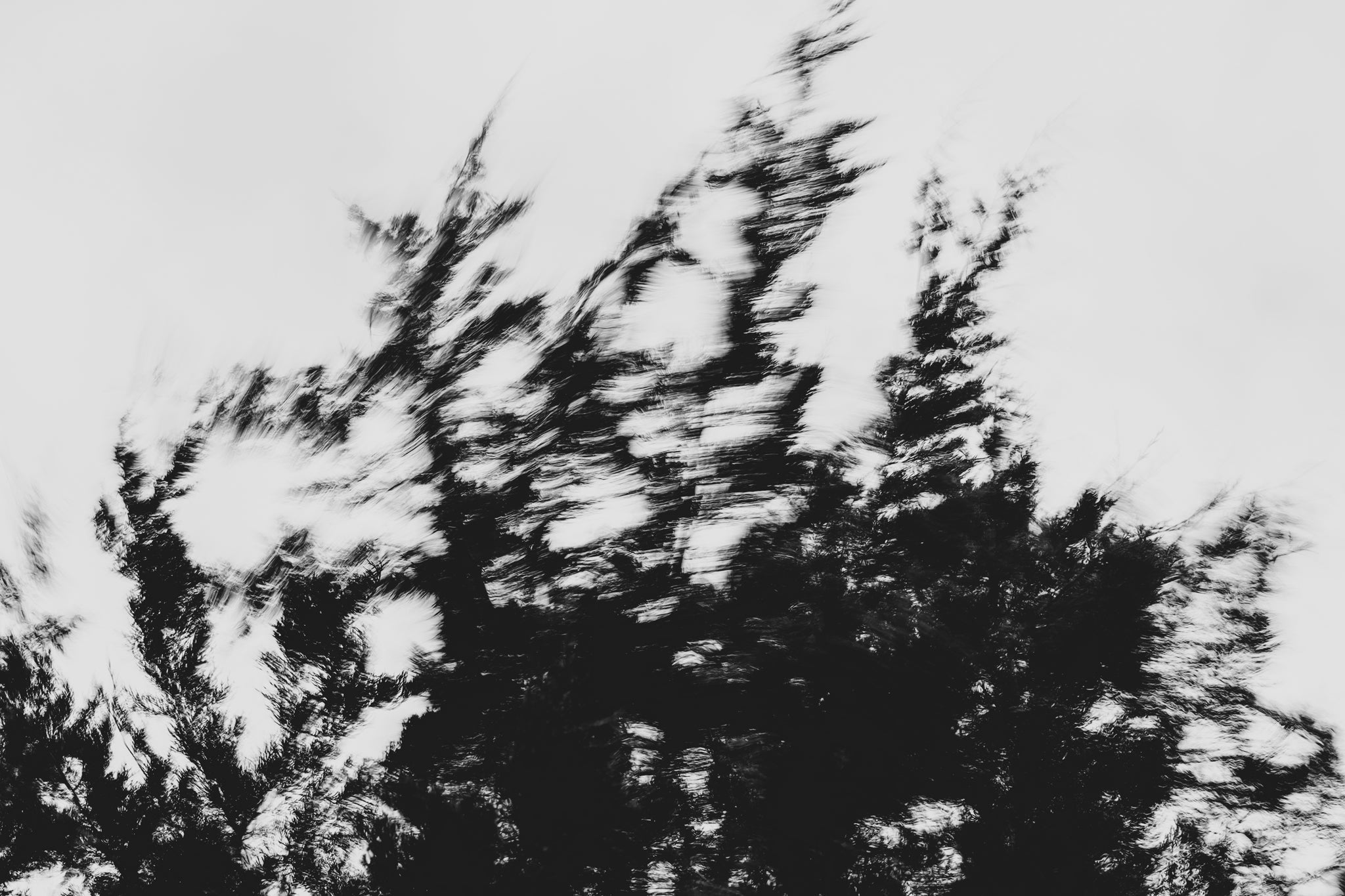 Pulse and Impression