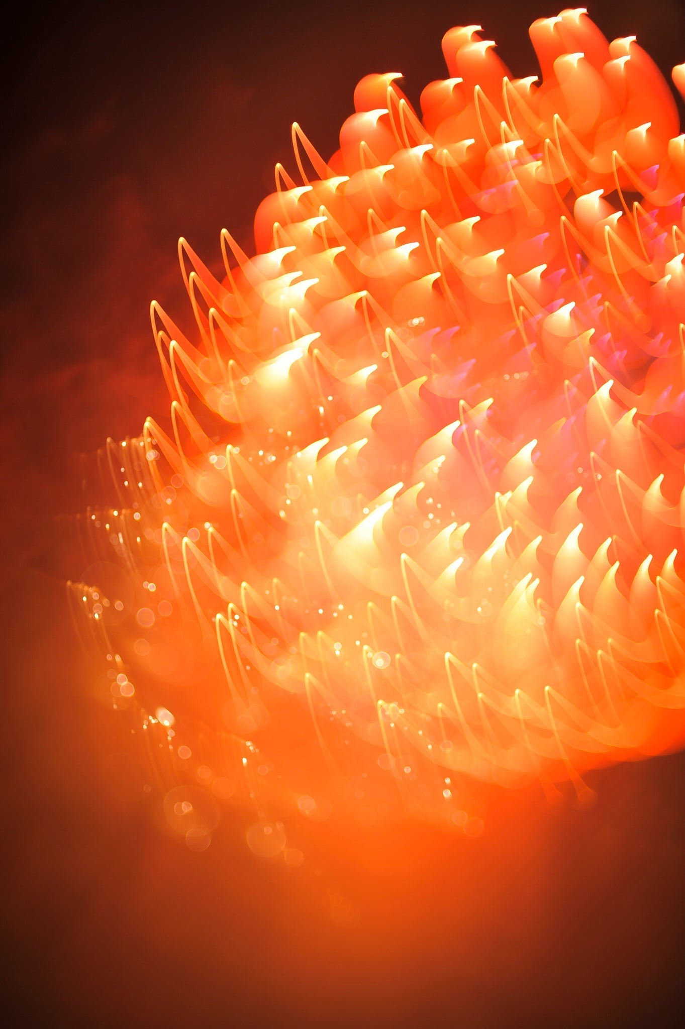 Flare and Flow, 2013