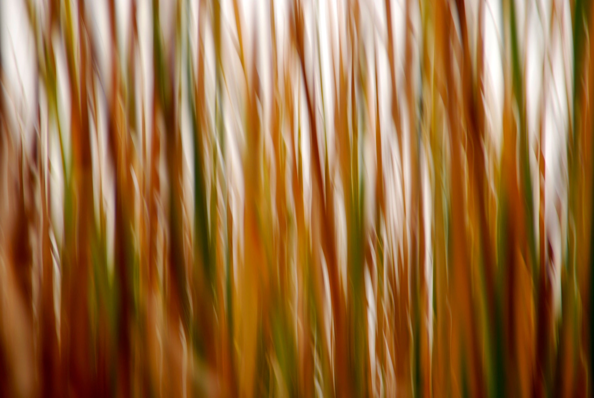 Static and Motion, 2007