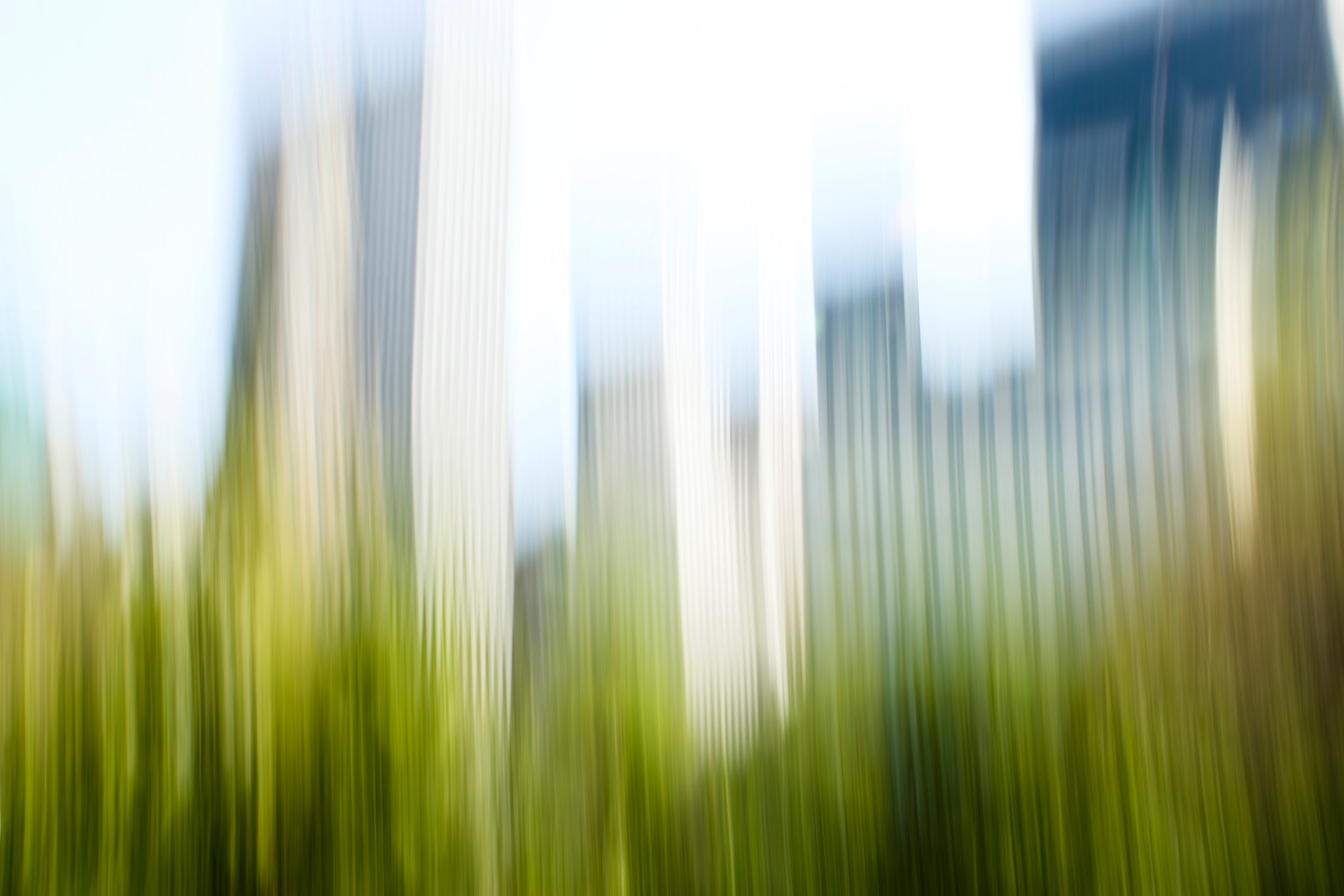 Static and Motion, 2008