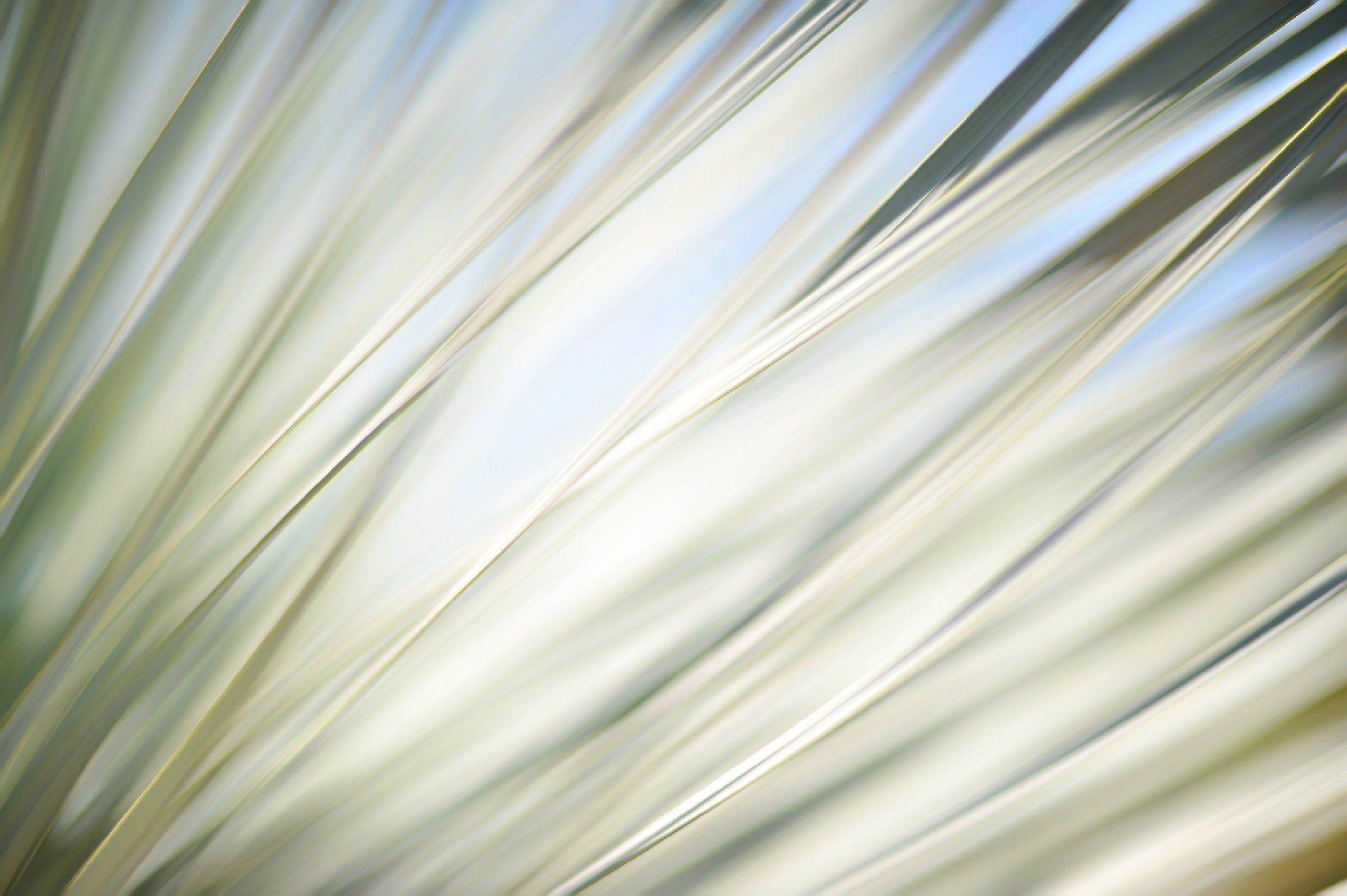 Static and Motion, 2012