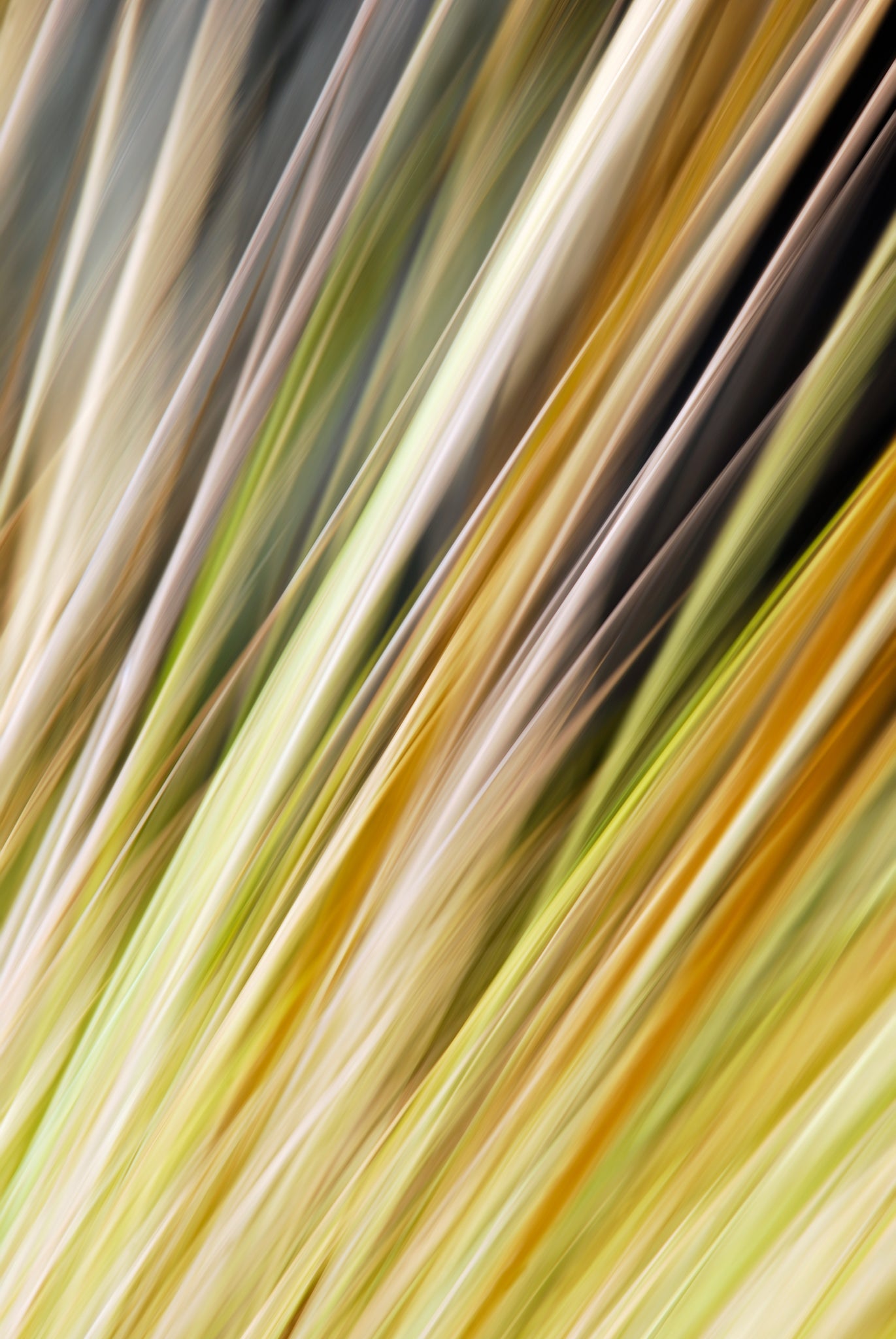 Static and Motion, 2009