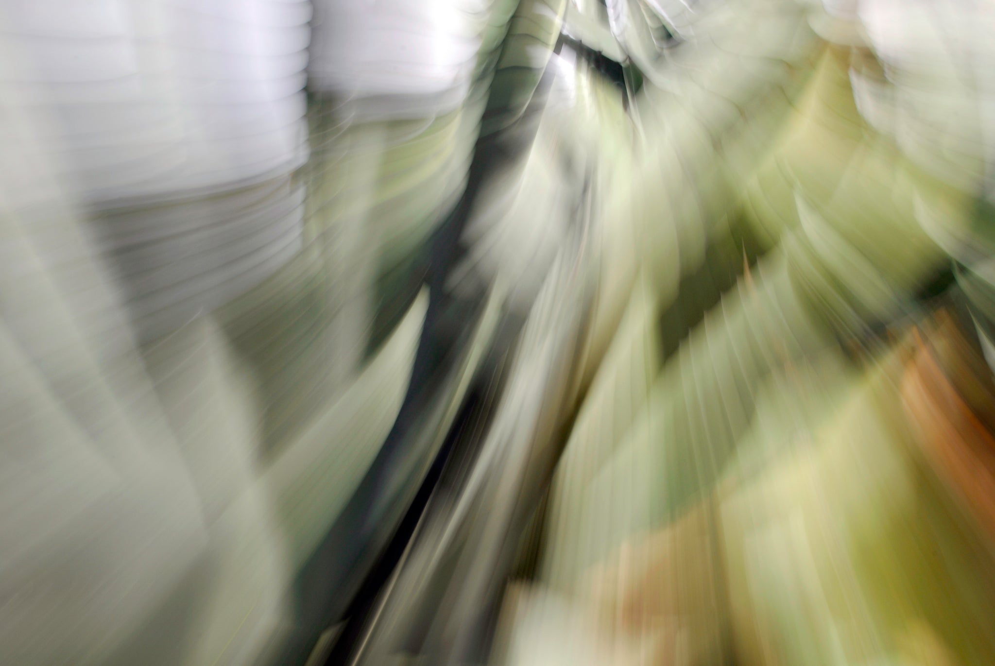 Static Motion, 2010