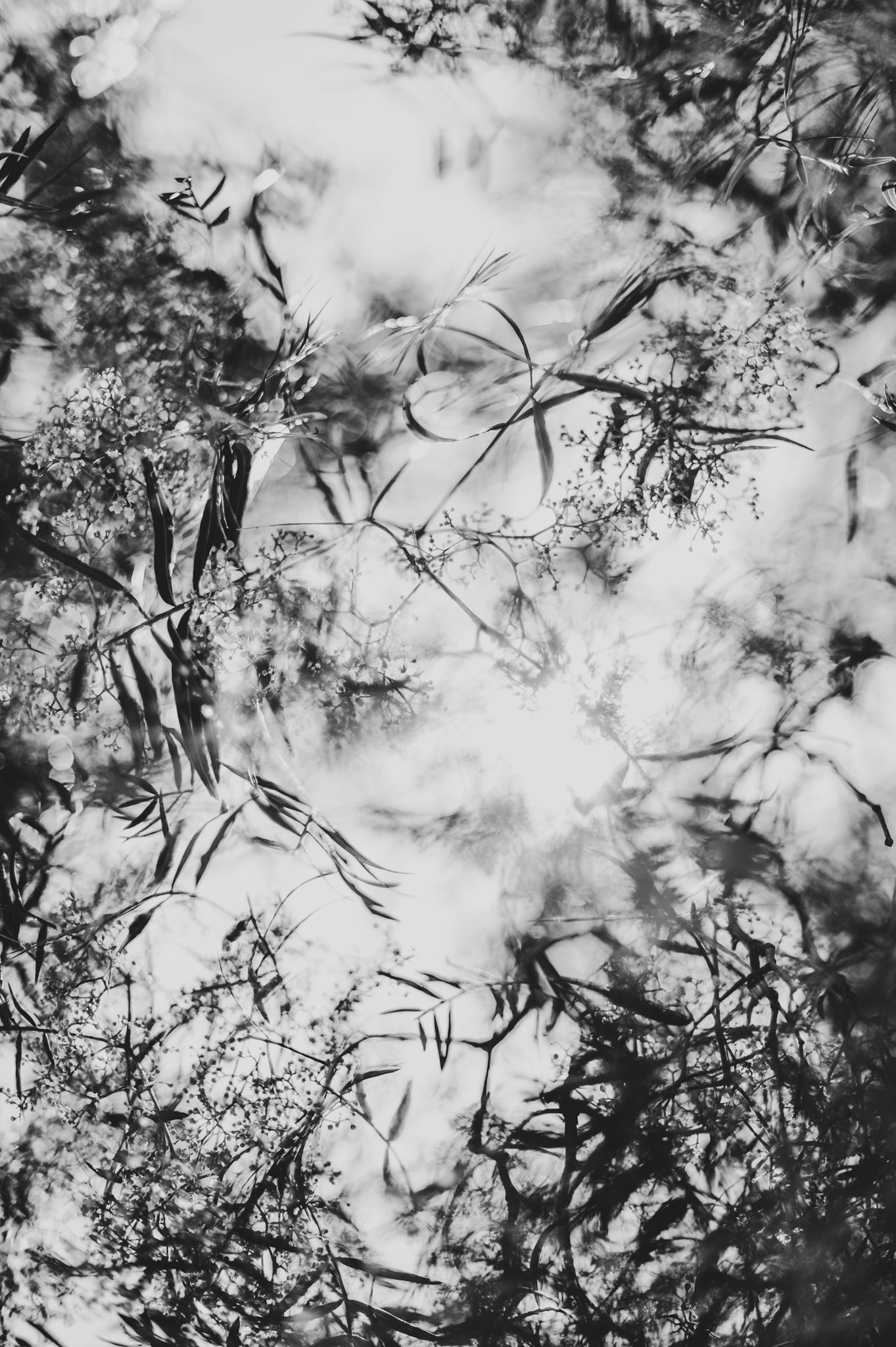 Fraught and Focus