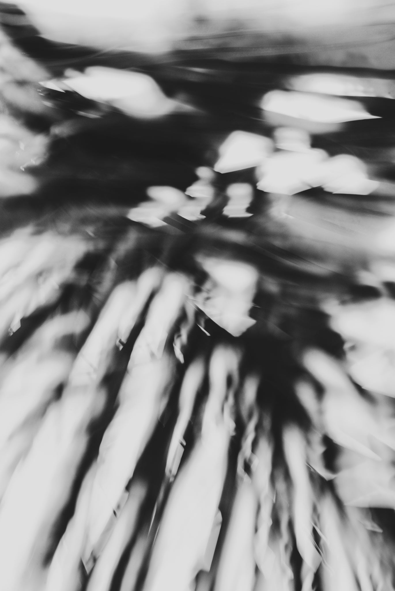 Pulse and Impression, 2010-02-04-0126