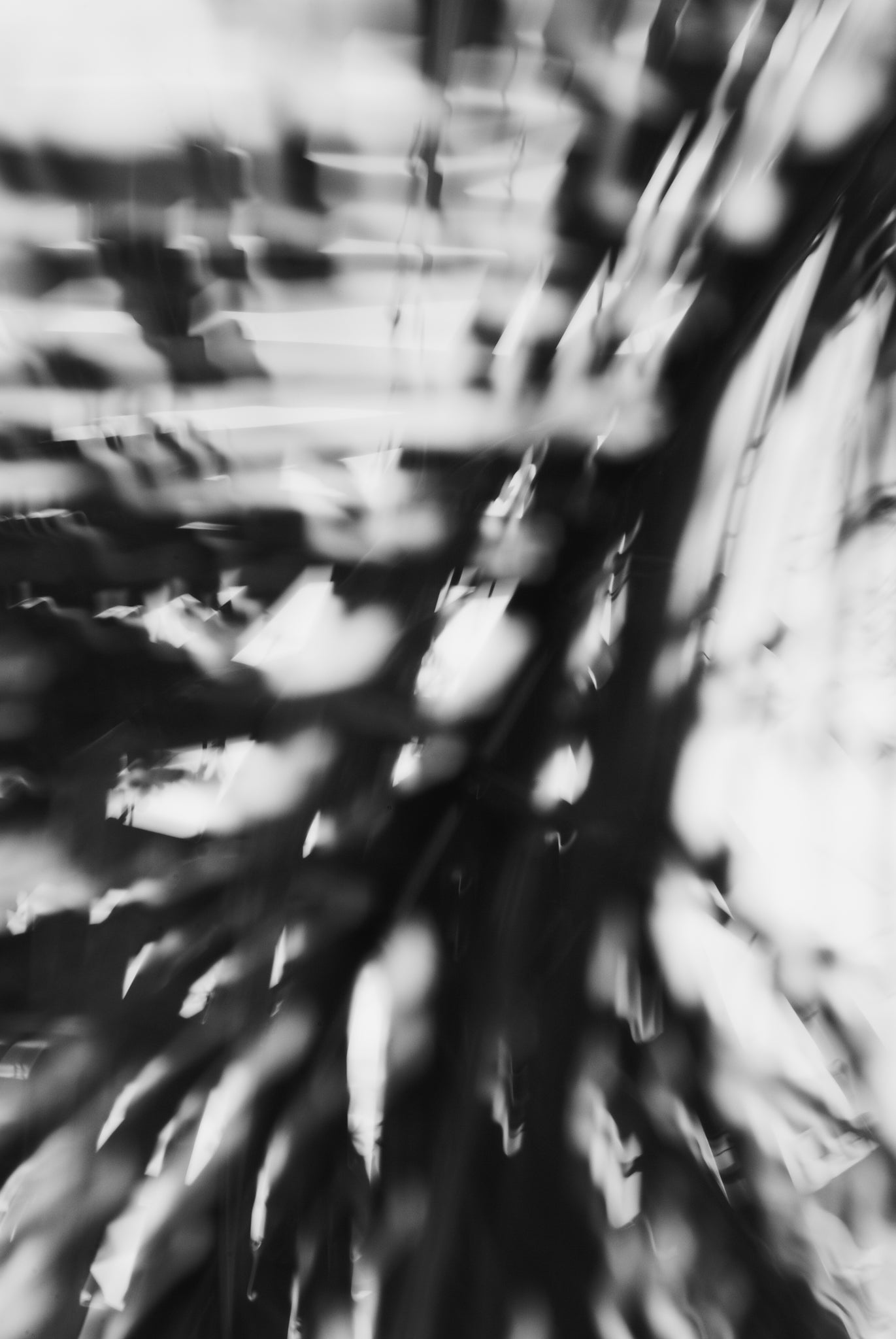 Pulse and Impression, 2010-02-04-0139