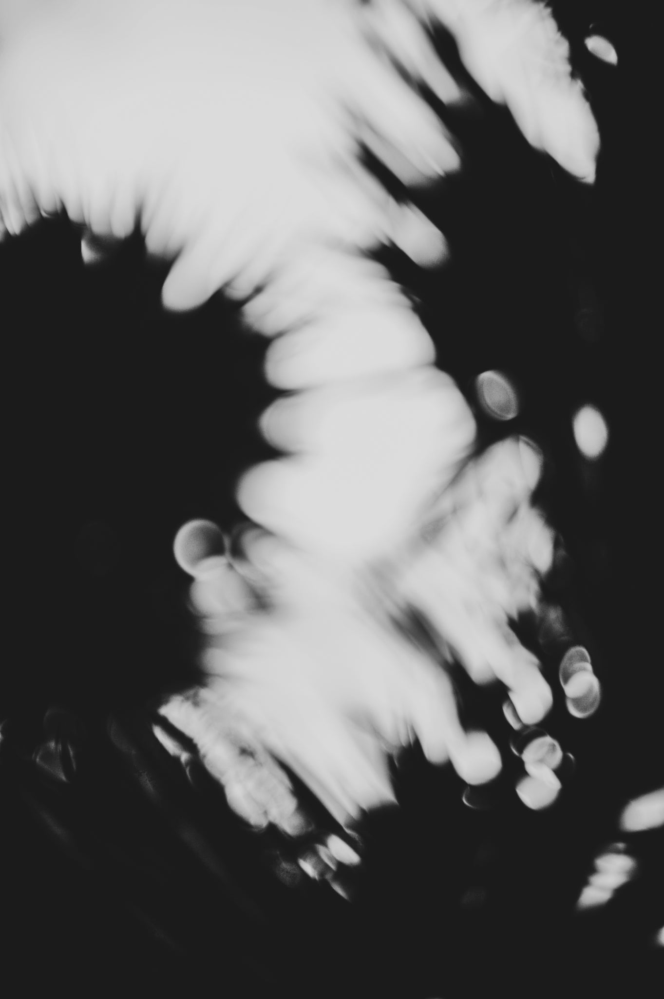 Pulse and Impression, 2011-06-19-8737