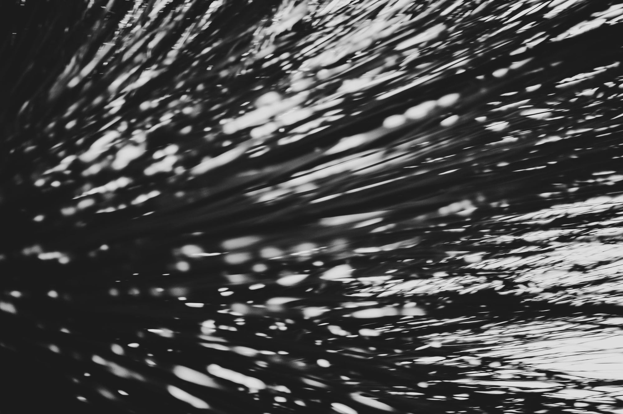 Pulse and Impression, 2011-11-26-1145
