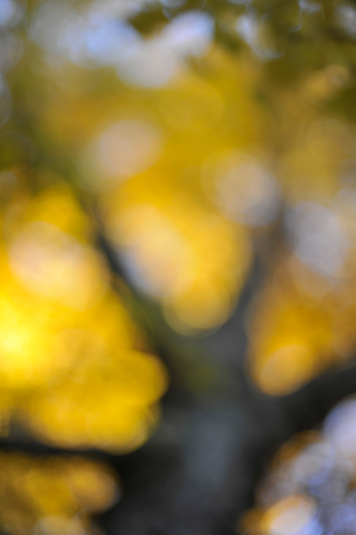Everything and Nothing, 2011-11-26-1618