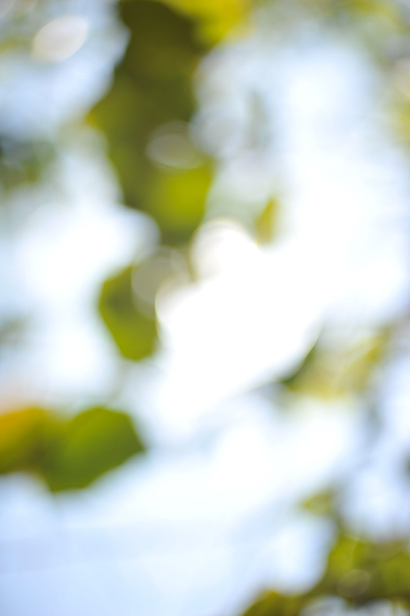 Everything and Nothing, 2012-06-17-3728
