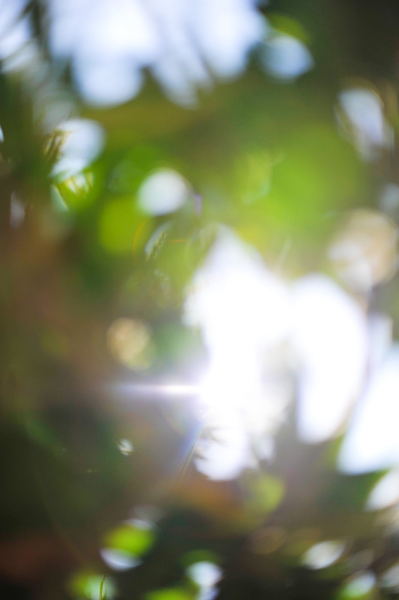 Everything and Nothing, 2012-06-17-3797