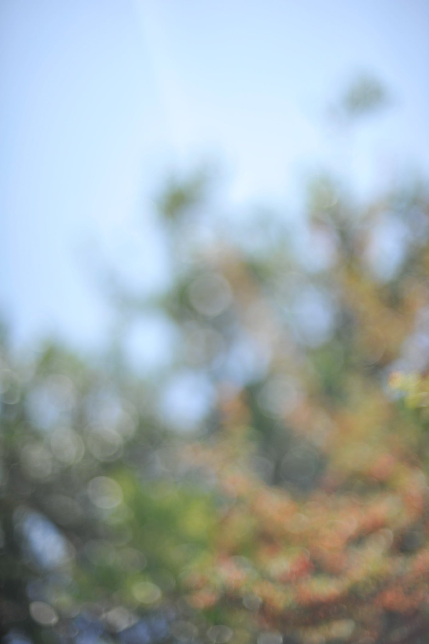 Everything and Nothing, 2012-06-17-4033
