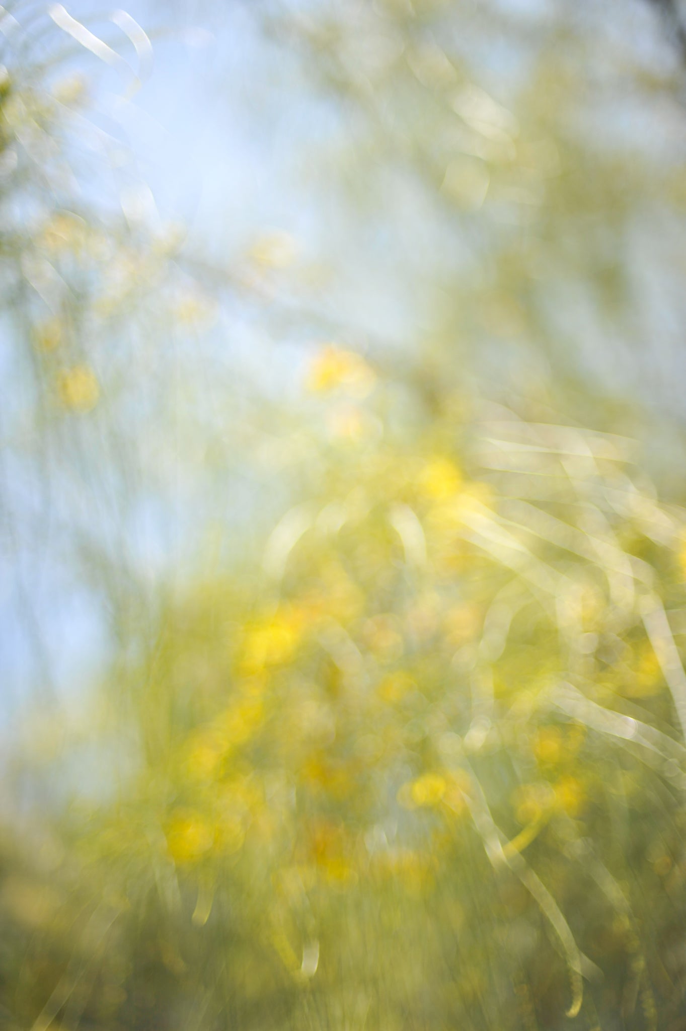 Everything and Nothing, 2012-06-17-4059