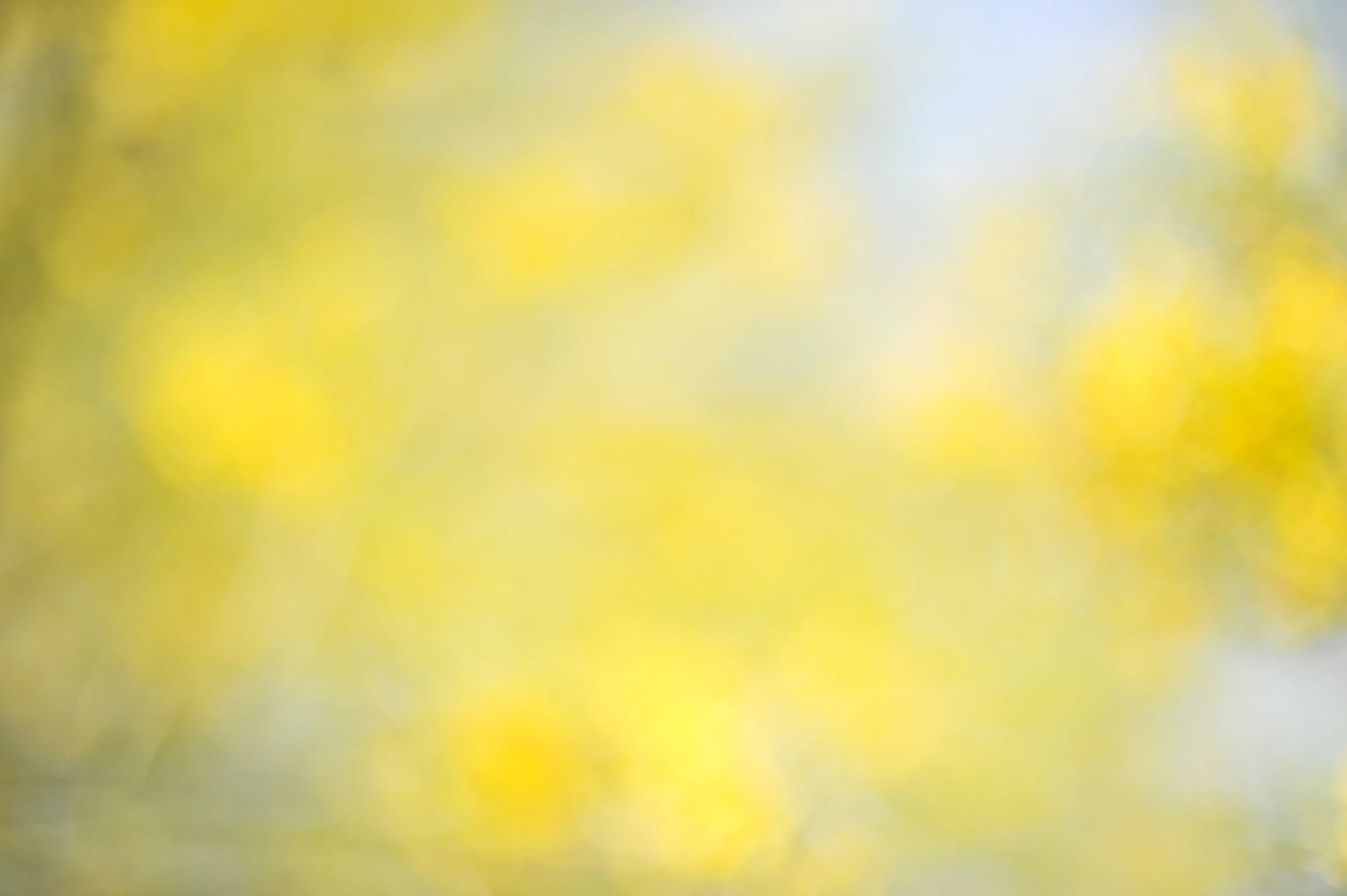 Everything and Nothing, 2012-06-17-4103