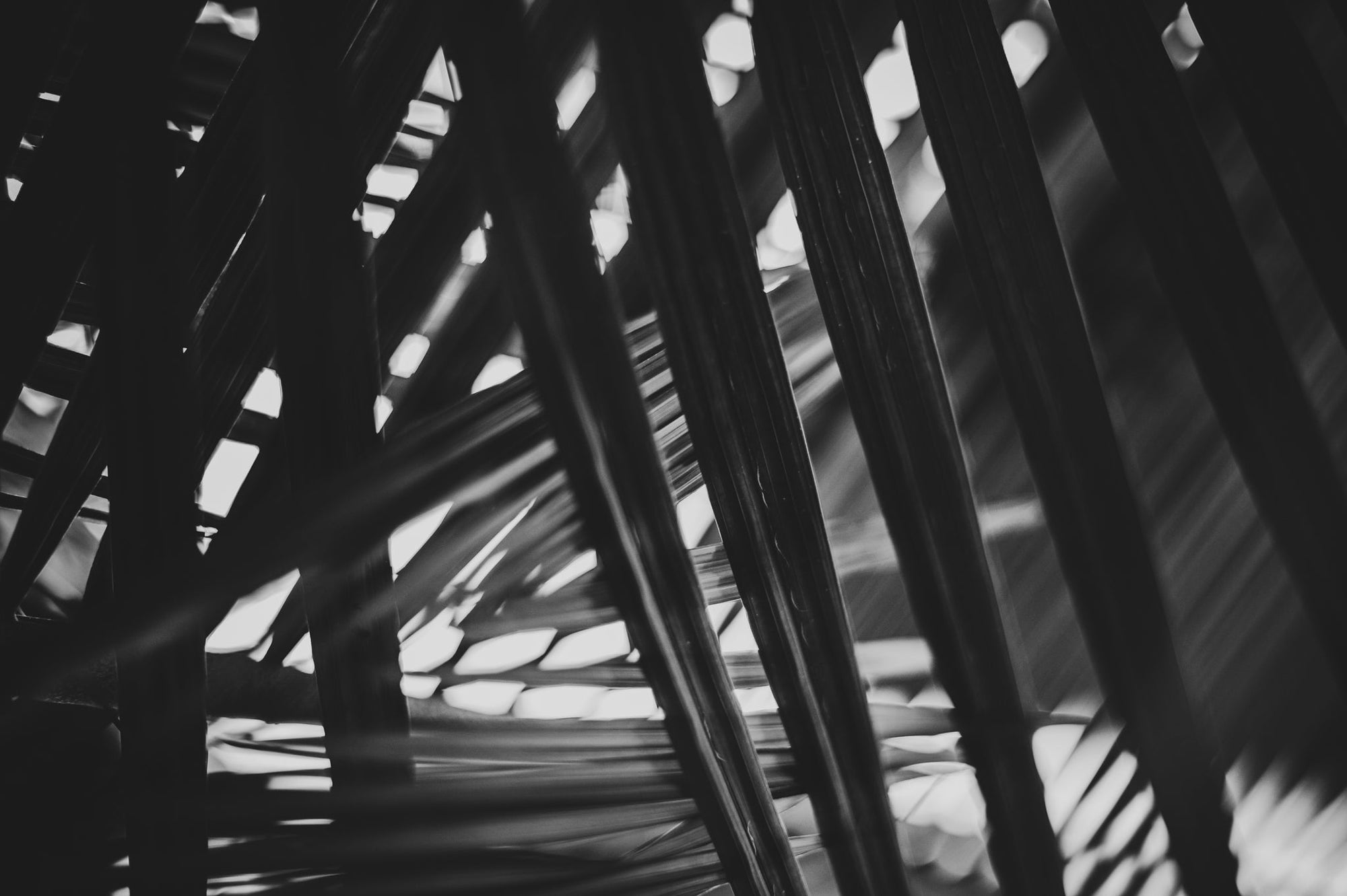 Pulse and Impression, 2018-09-14-0981