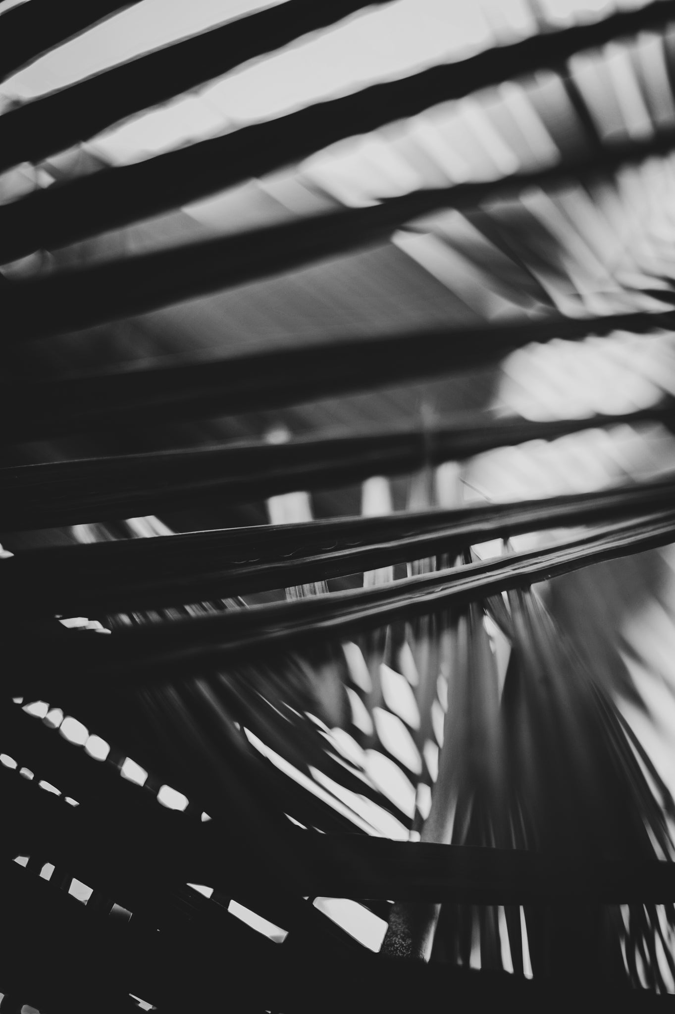 Pulse and Impression, 2018-09-14-0989