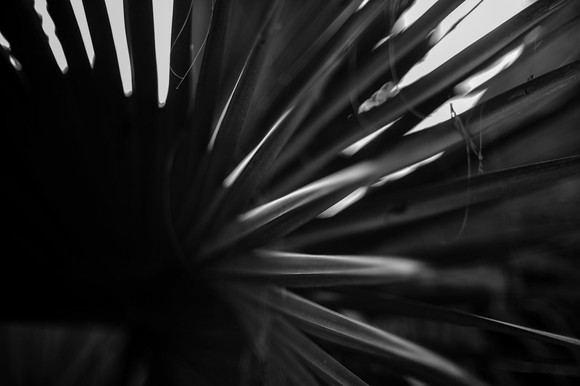 Pulse and Impression, 2018-09-29-2715