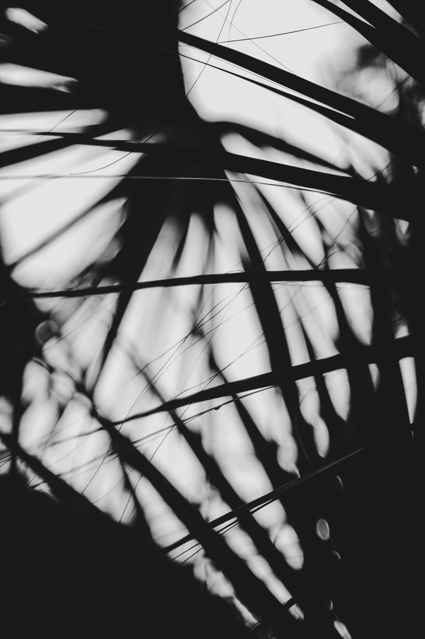 Pulse and Impression, 2018-09-29-2761