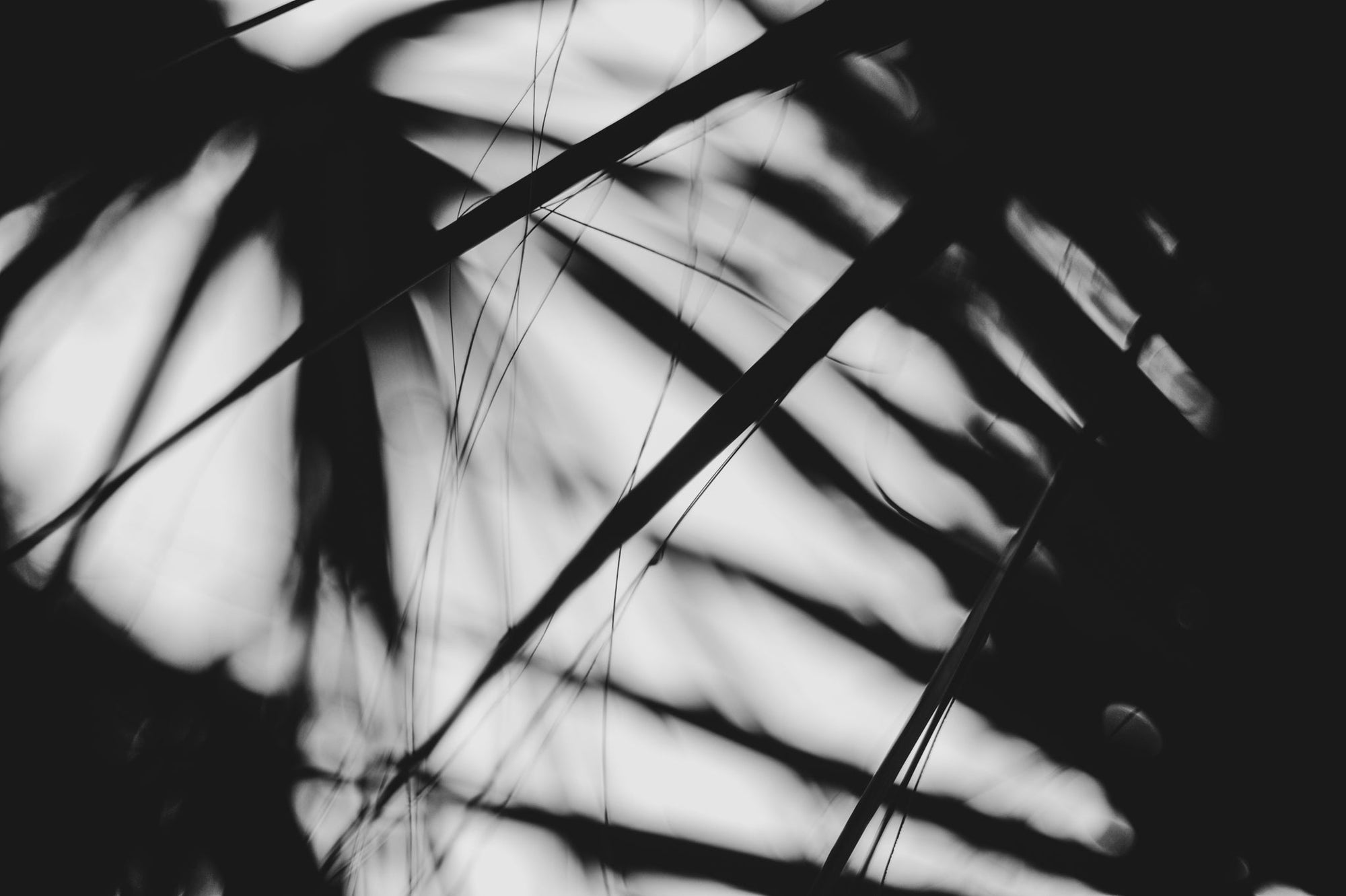 Pulse and Impression, 2018-09-29-2776