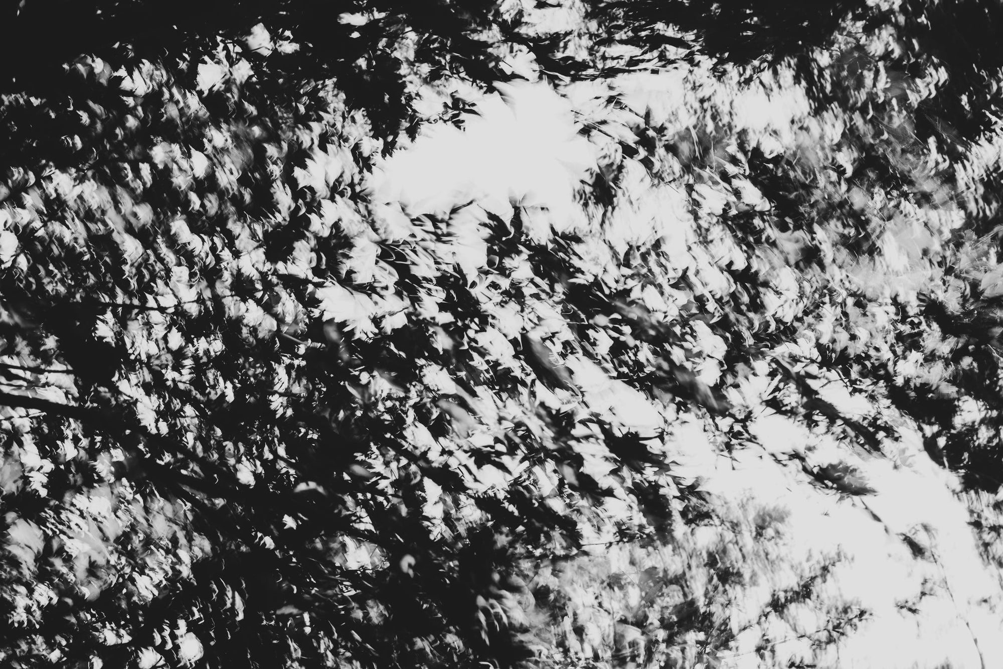 Pulse and Impression, 2021-11-12-0604