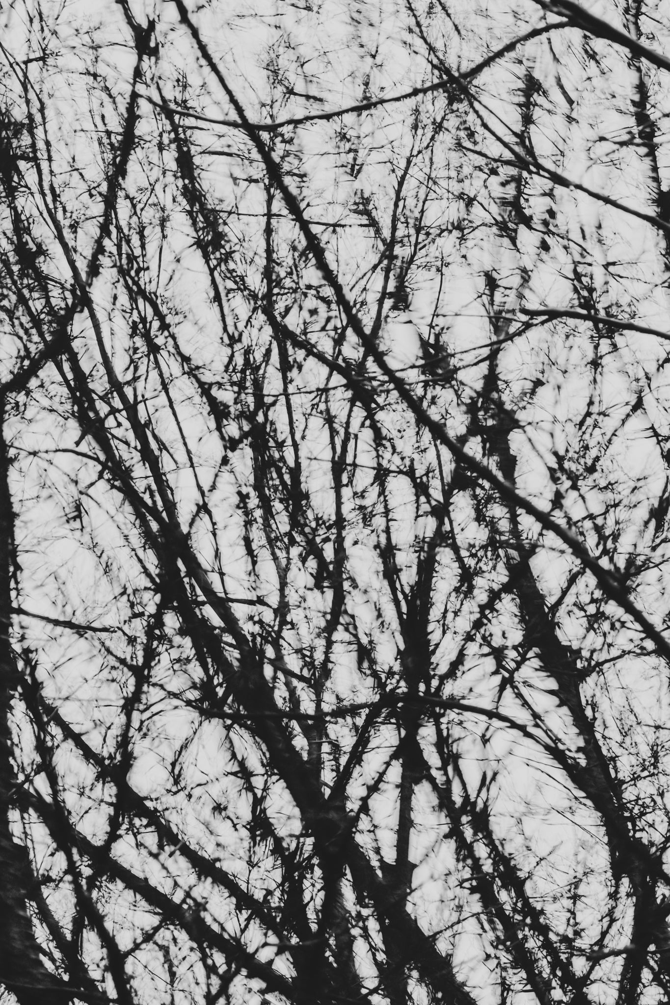 Pulse and Impression, 2022-01-15-0768