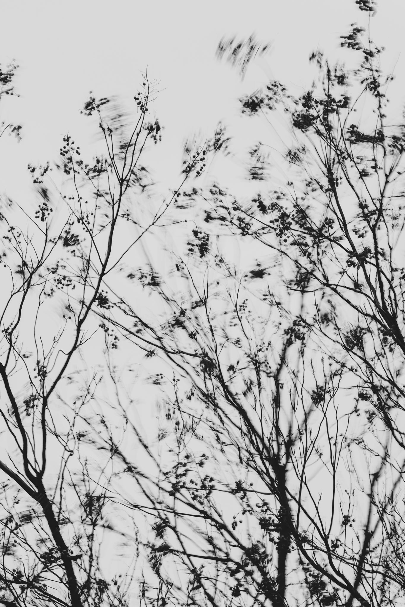 Fraught and Focus, 2022-01-15-0801