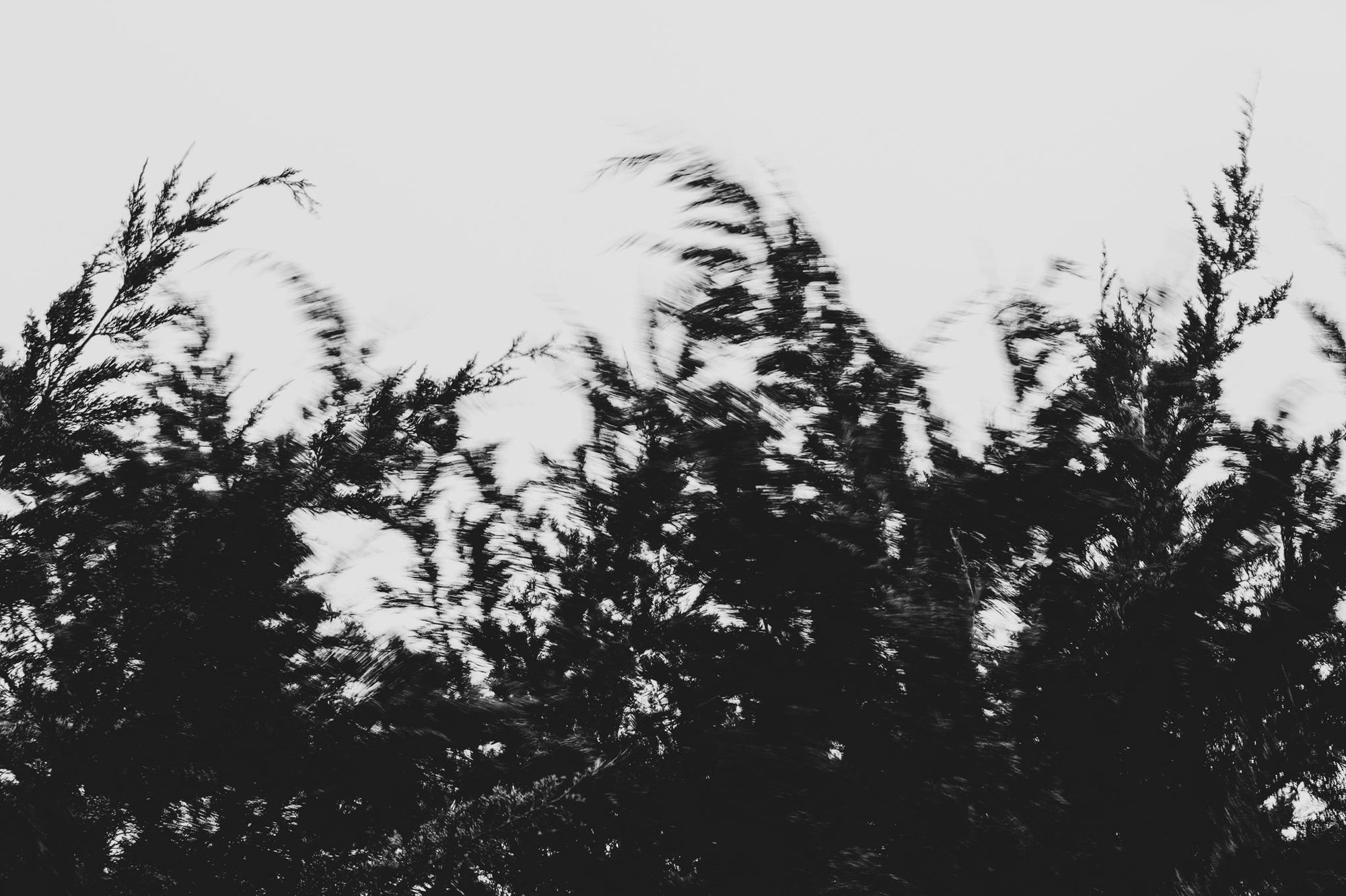 Pulse and Impression, 2022-01-15-0849