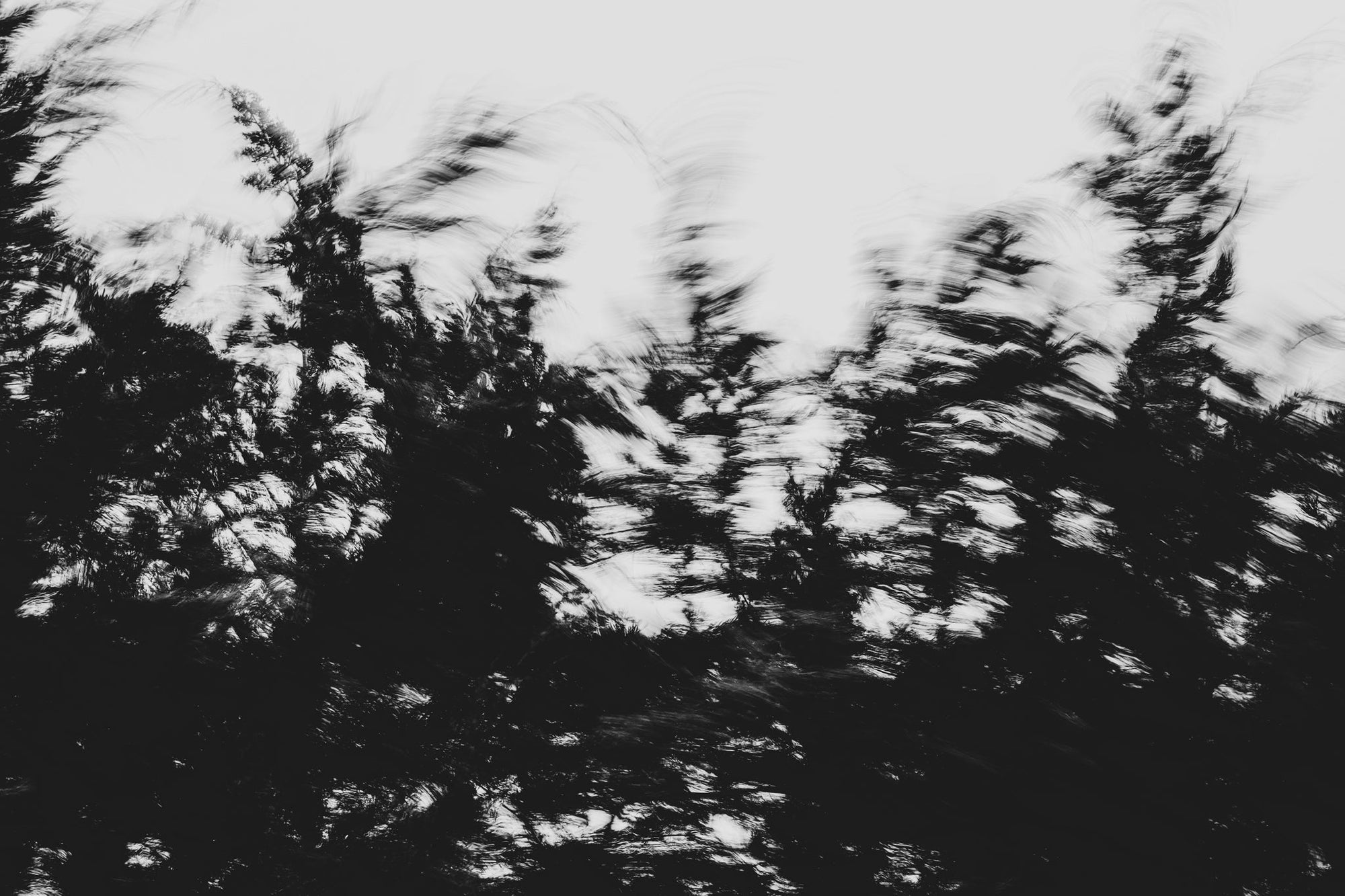 Pulse and Impression, 2022-01-15-0852