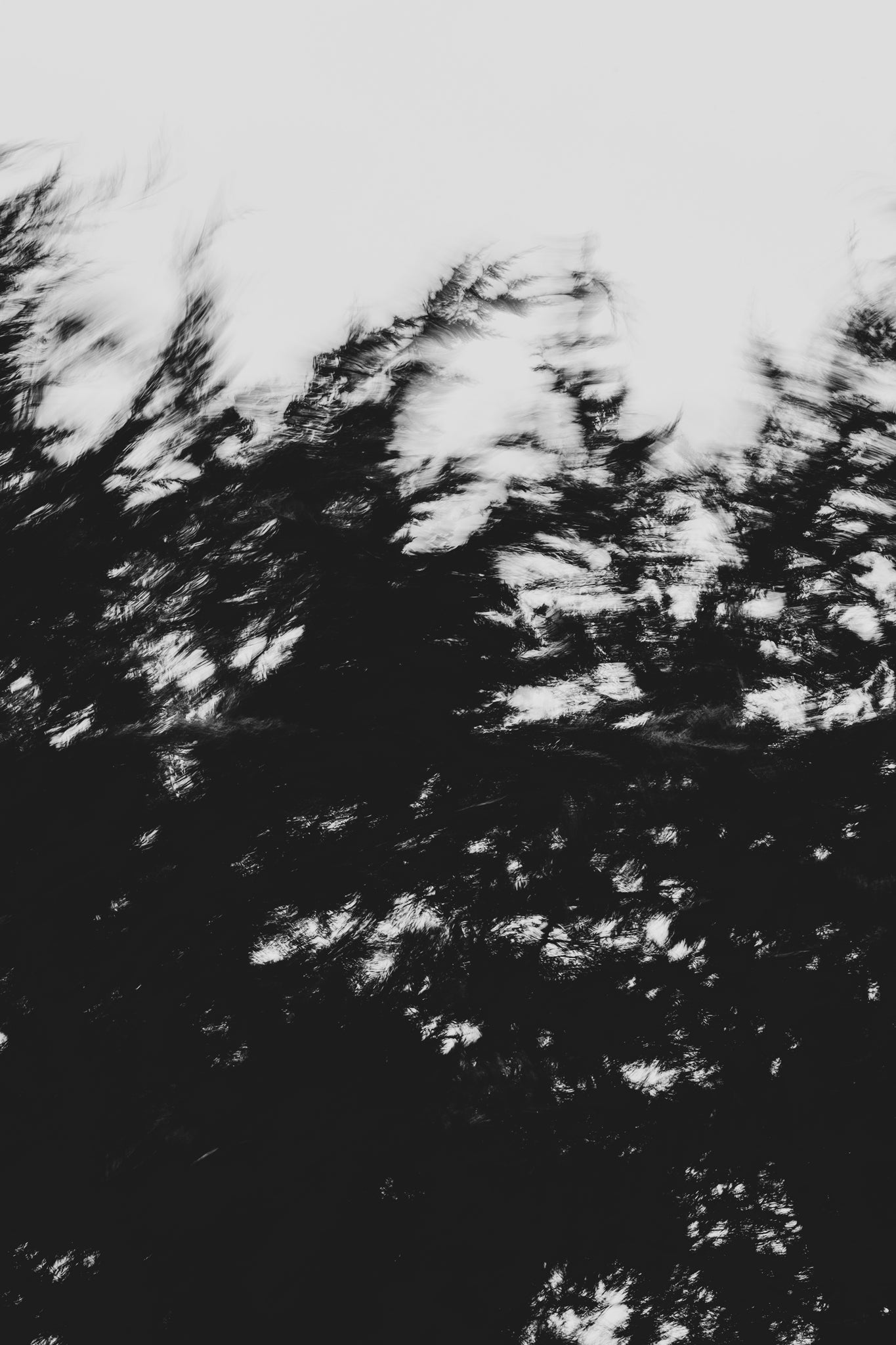 Pulse and Impression, 2022-01-15-0856