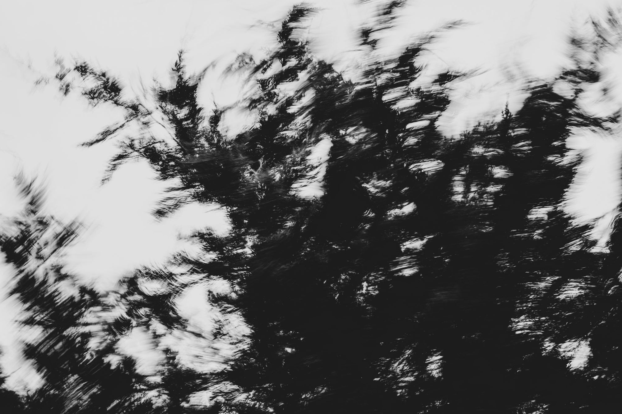 Pulse and Impression, 2022-01-15-0860