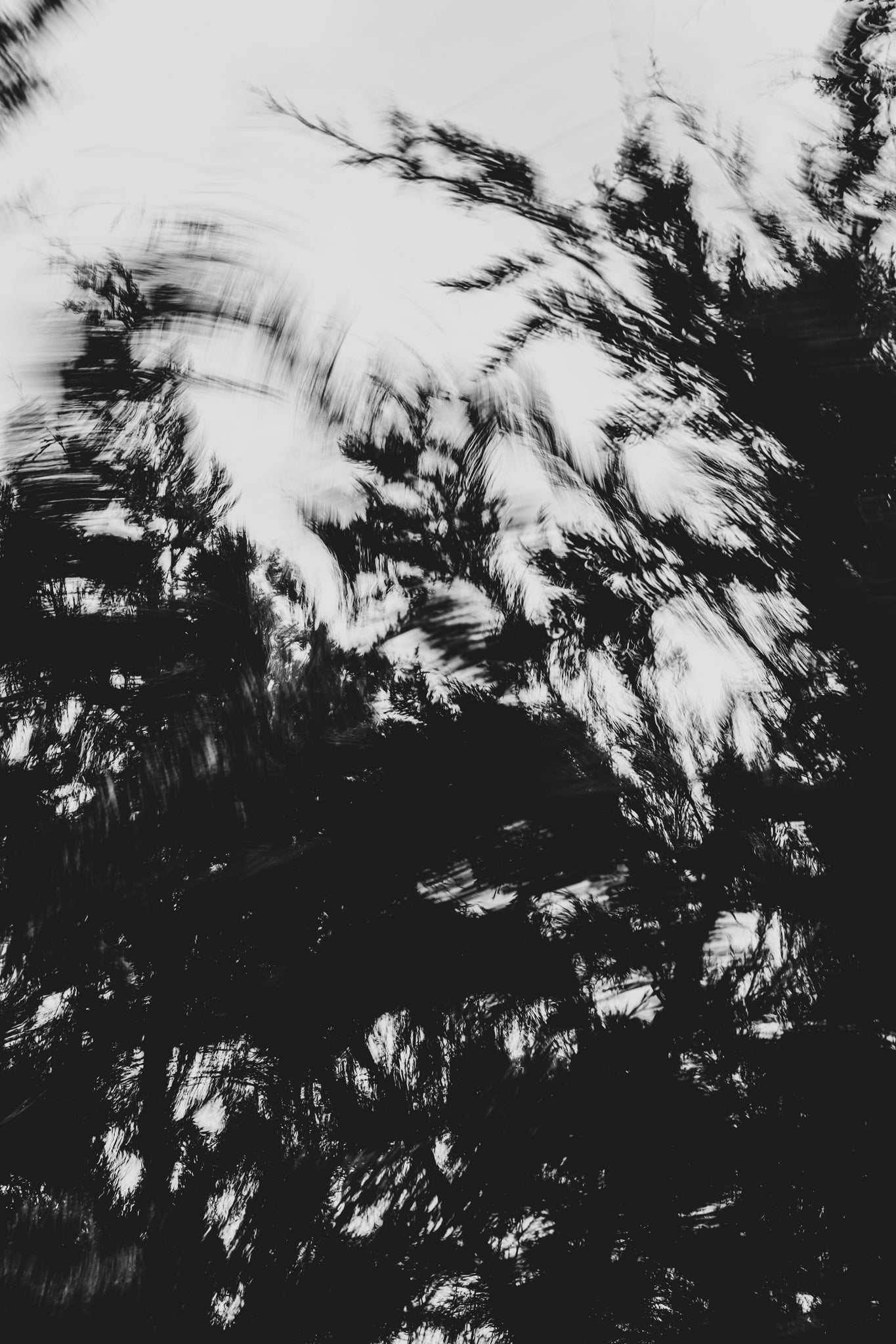 Pulse and Impression, 2022-01-15-0863