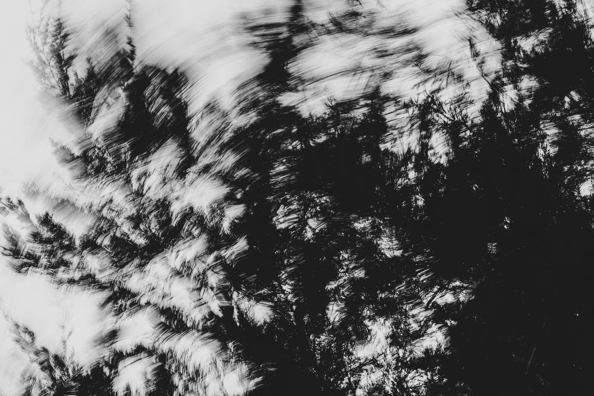 Pulse and Impression, 2022-01-15-0867
