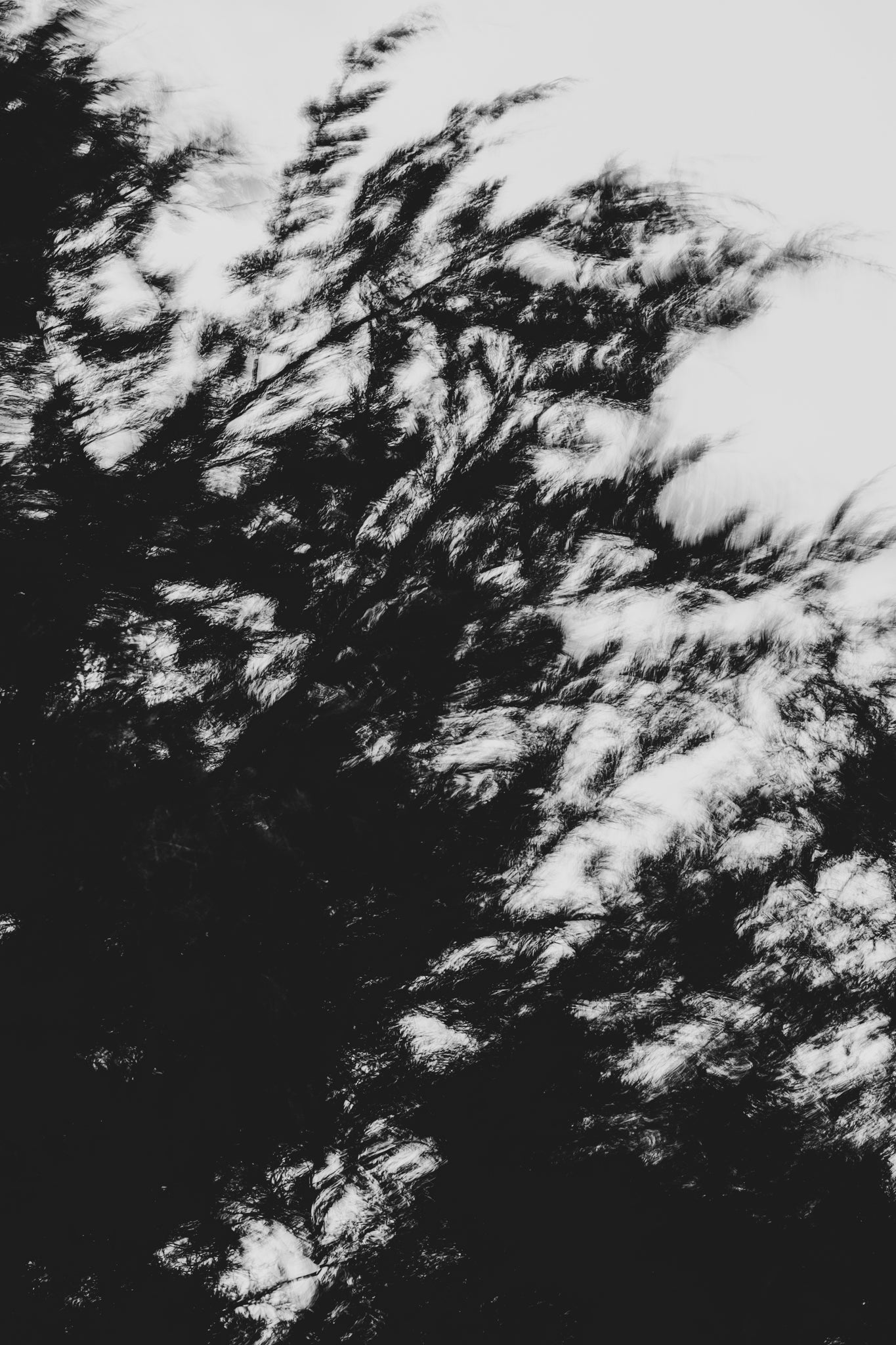 Pulse and Impression, 2022-01-15-0868