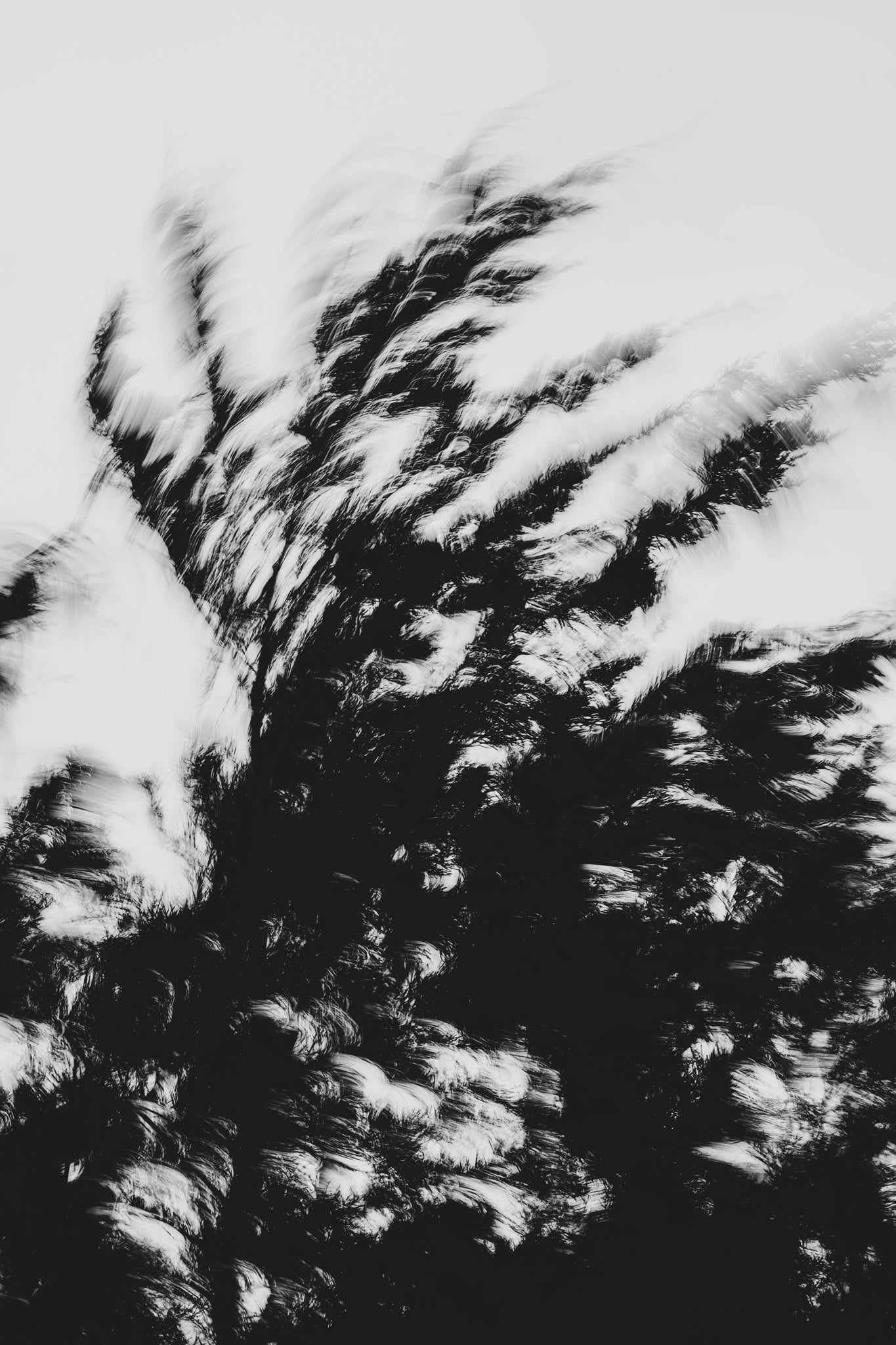 Pulse and Impression, 2022-01-15-0876