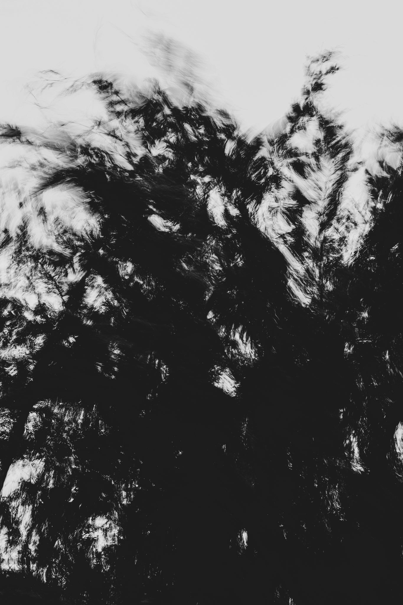 Pulse and Impression, 2022-01-15-0879