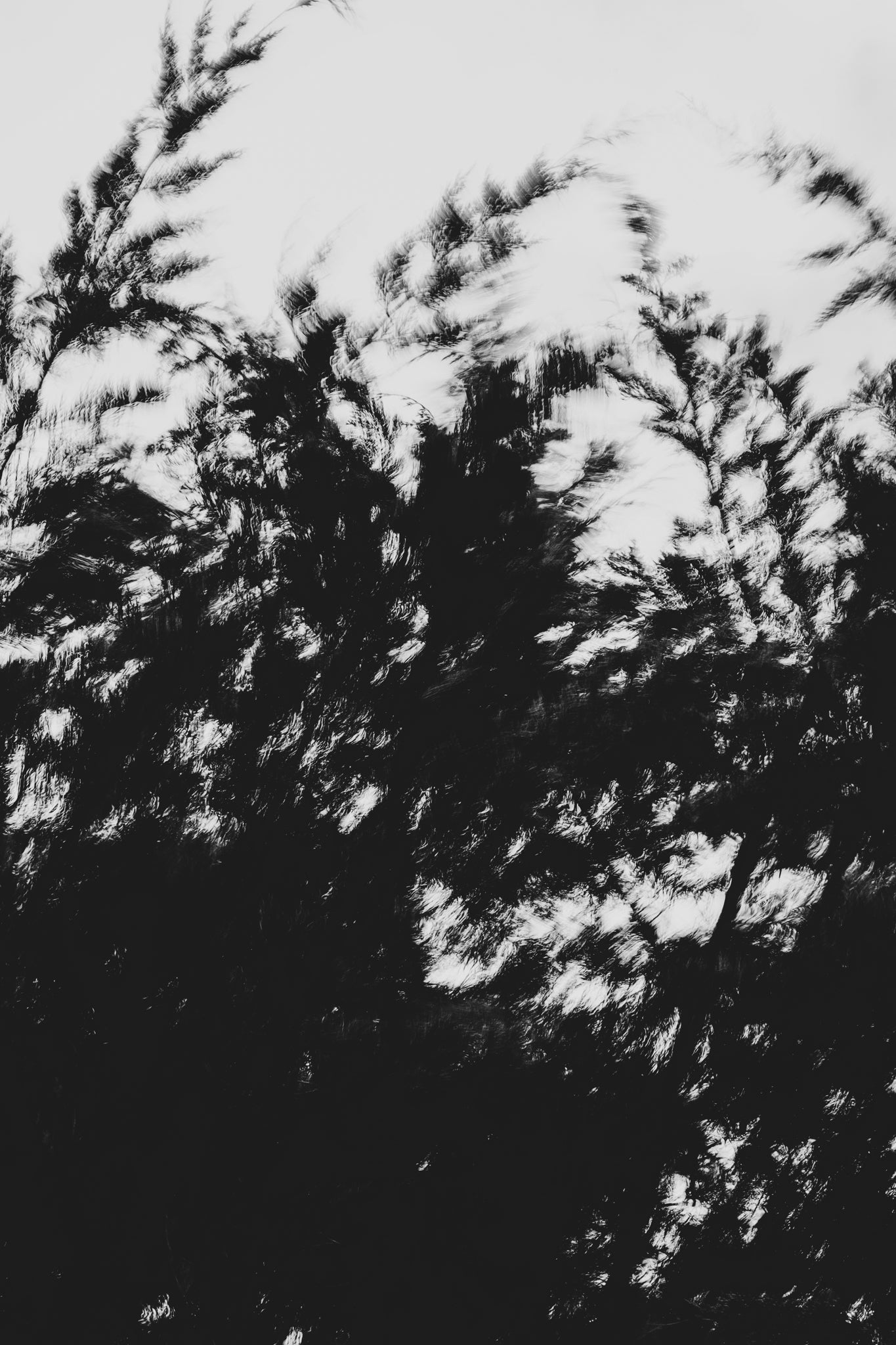 Pulse and Impression, 2022-01-15-0884