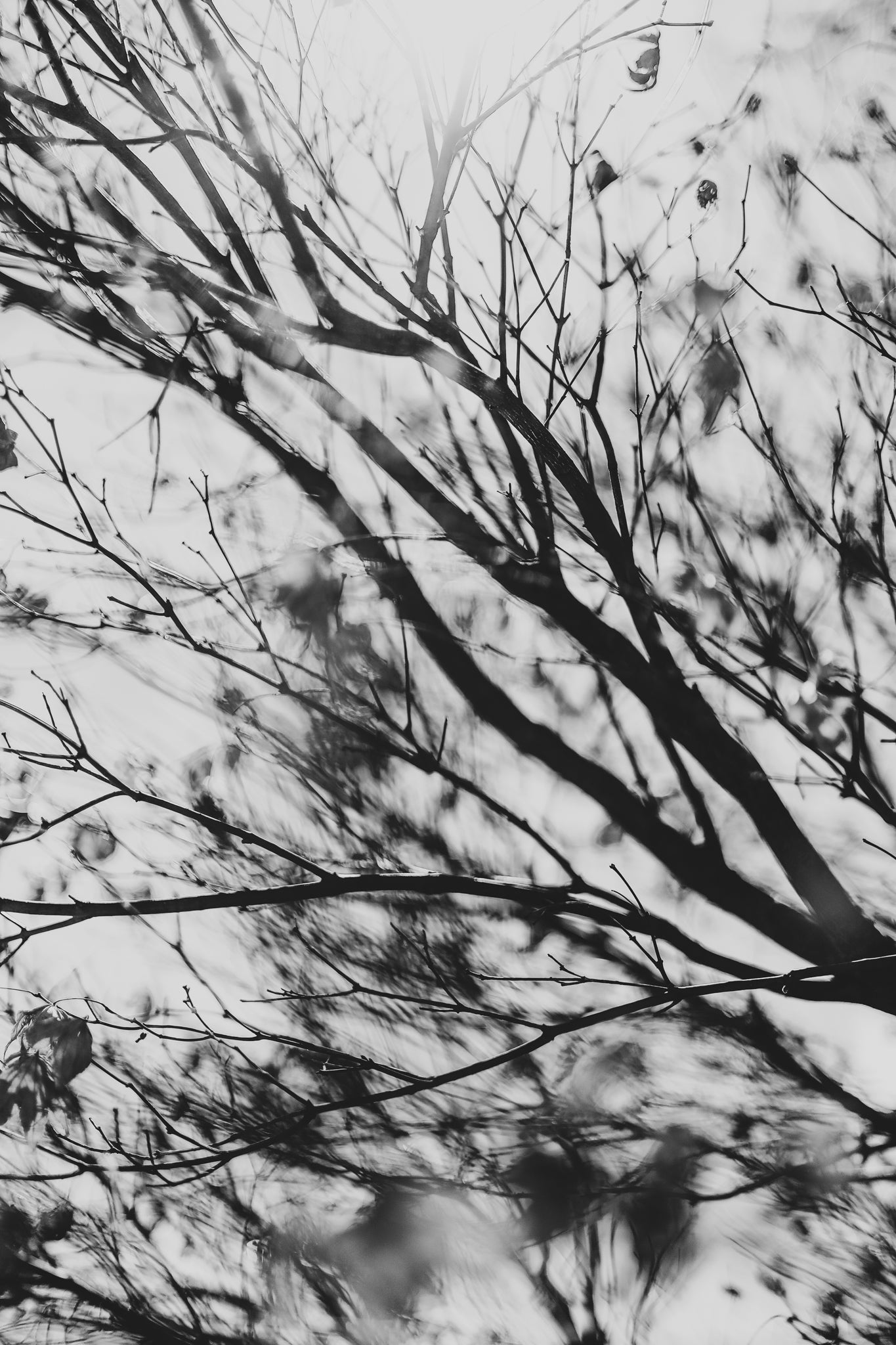 Fraught and Focus, 2022-03-18-1155
