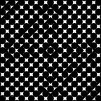 Artis 4.1, No. 12