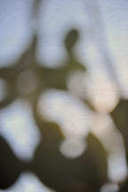 Everything and Nothing, 2011-11-26-0933