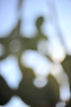 Everything and Nothing, 2011-11-26-0933