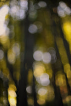 Everything and Nothing, 2011-11-26-1513