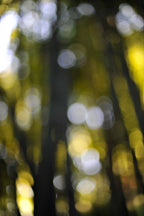 Everything and Nothing, 2011-11-26-1513