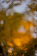 Everything and Nothing, 2011-11-26-1603