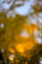 Everything and Nothing, 2011-11-26-1603