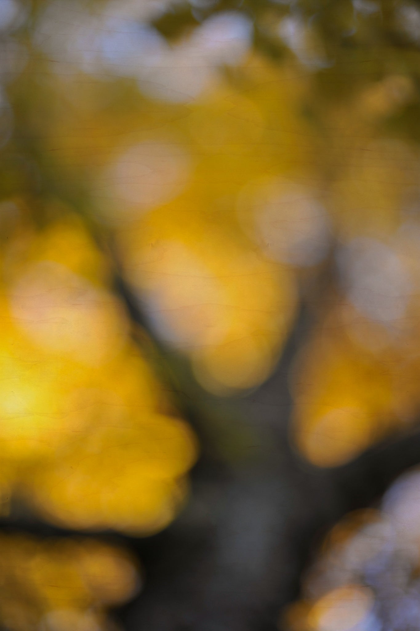 Everything and Nothing, 2011-11-26-1618