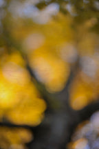 Everything and Nothing, 2011-11-26-1618
