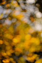Everything and Nothing, 2011-11-26-1748